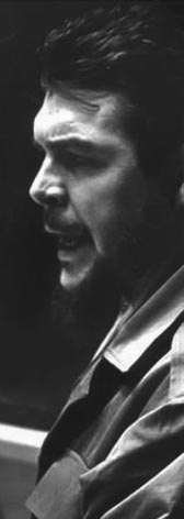 Ernesto Che Guevara in UN