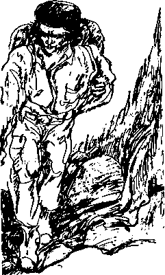 Che (8789 byte 210x400)