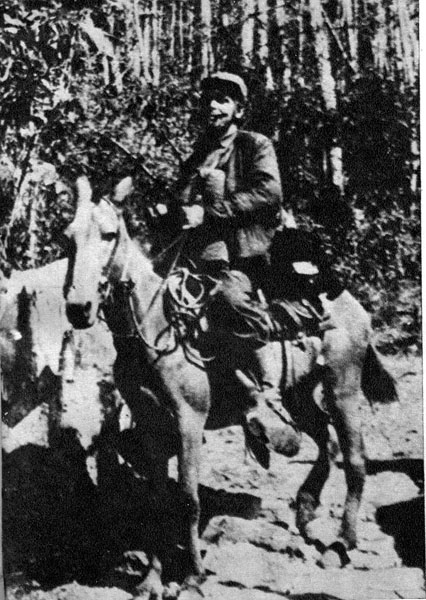 Che in Sierra-Maestra (95251) 426x600