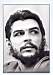 CHE11.jpg