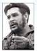 CHE22.jpg