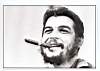 CHE38.jpg