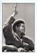 CHE67.jpg