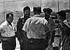  ( )         1961 